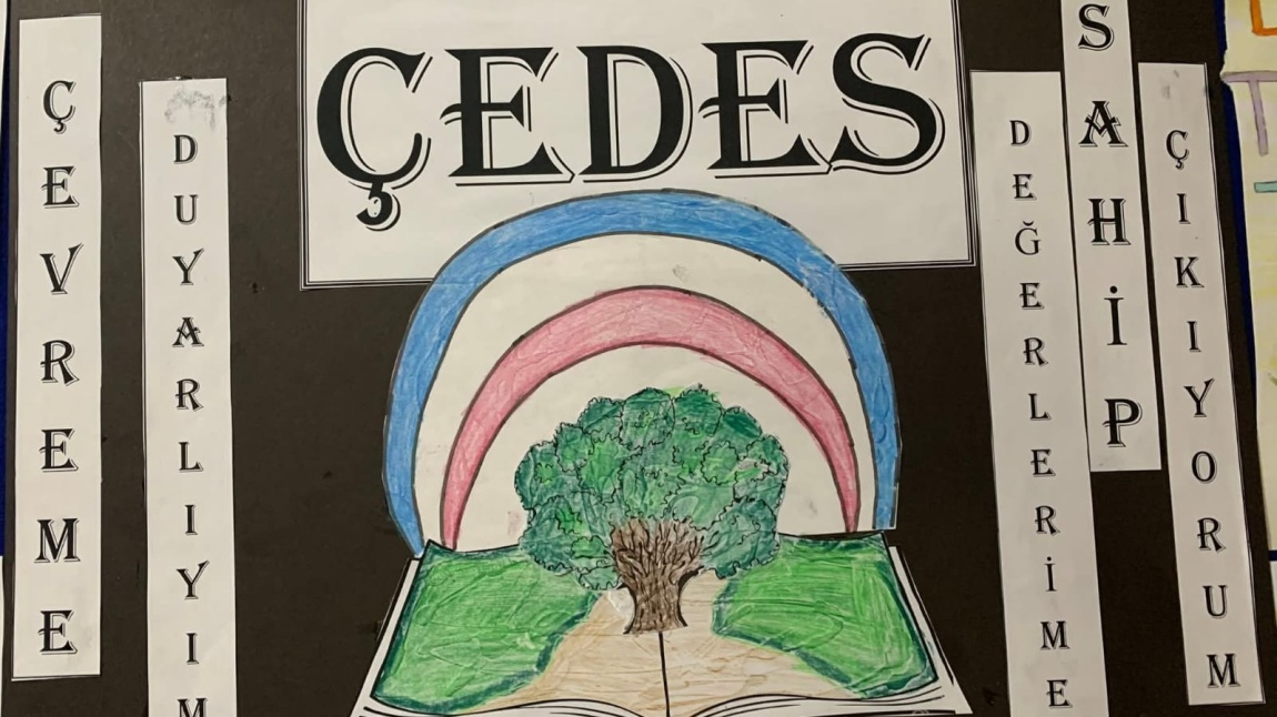 ÇEDES PROJESİ TEMİZLİK TEMASI